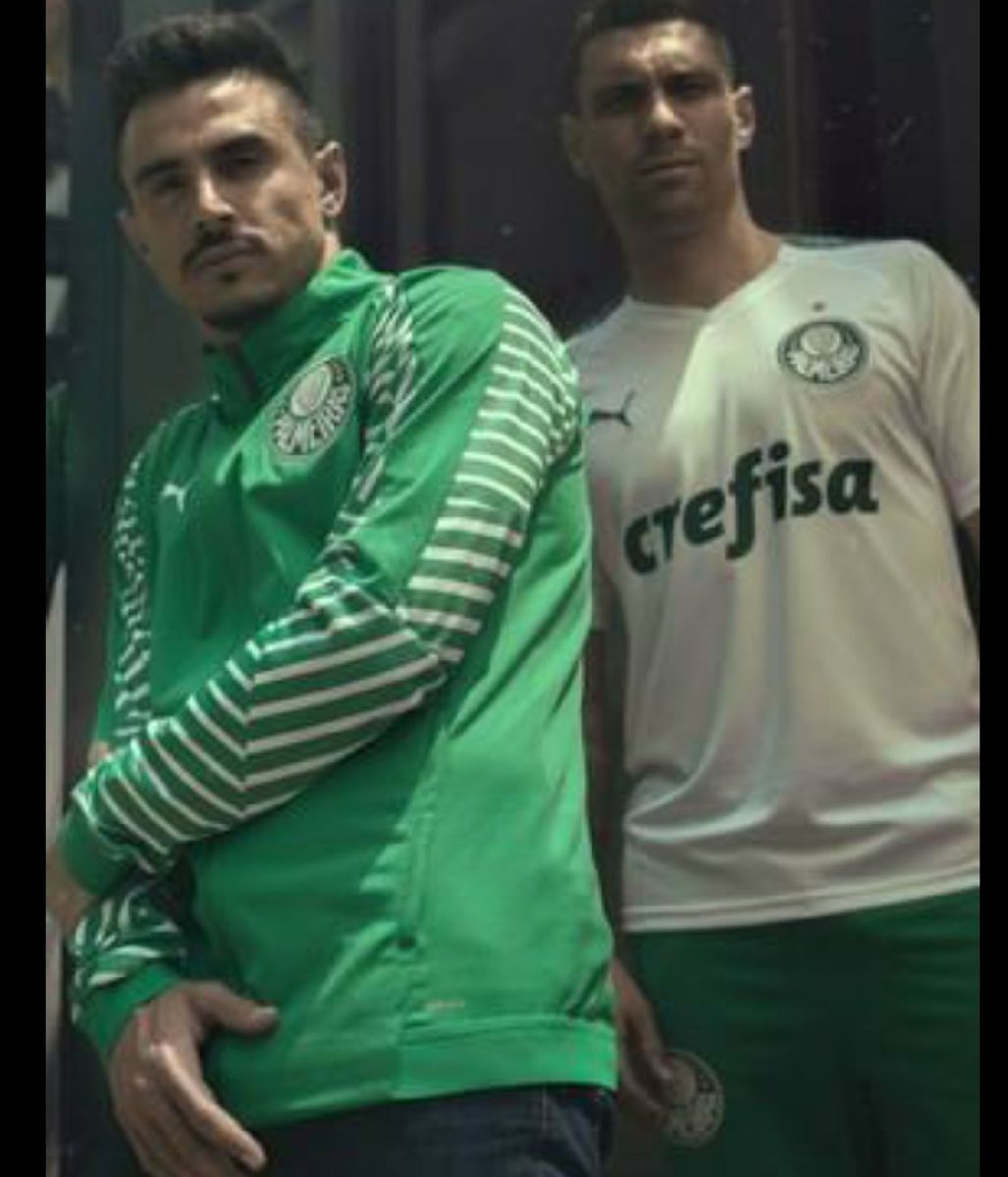 casaco do palmeiras puma