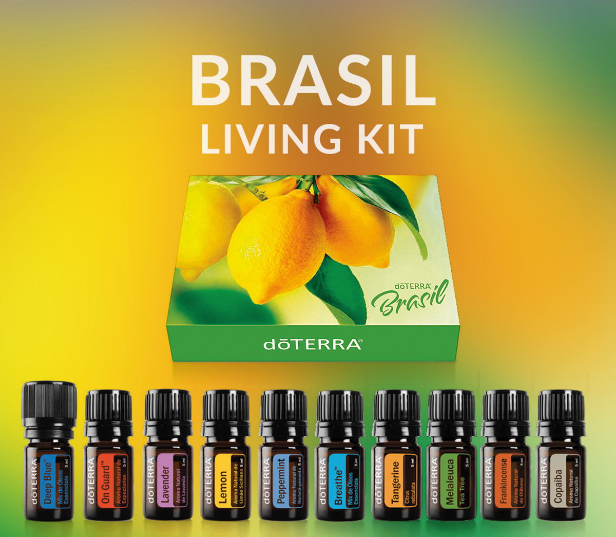 Kit 10 Óleos Essenciais 100 Puros Brasil Living Kit Lacrados