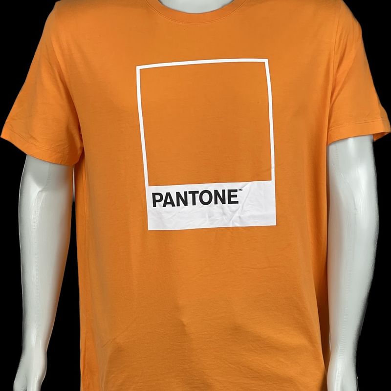 Kit 2 Camisetas Pantone Camiseta Masculina Pantone Usado 86745918 enjoei