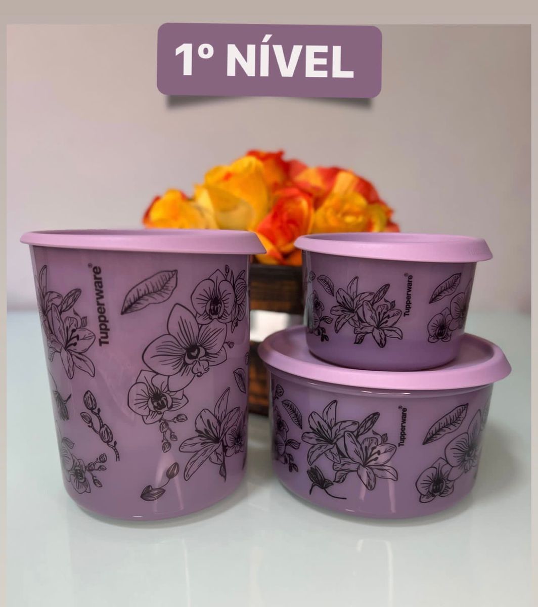 Kit Instantânea e Mágica Pda/bea Nível 1 Tupperware Floral | Móvel de ...