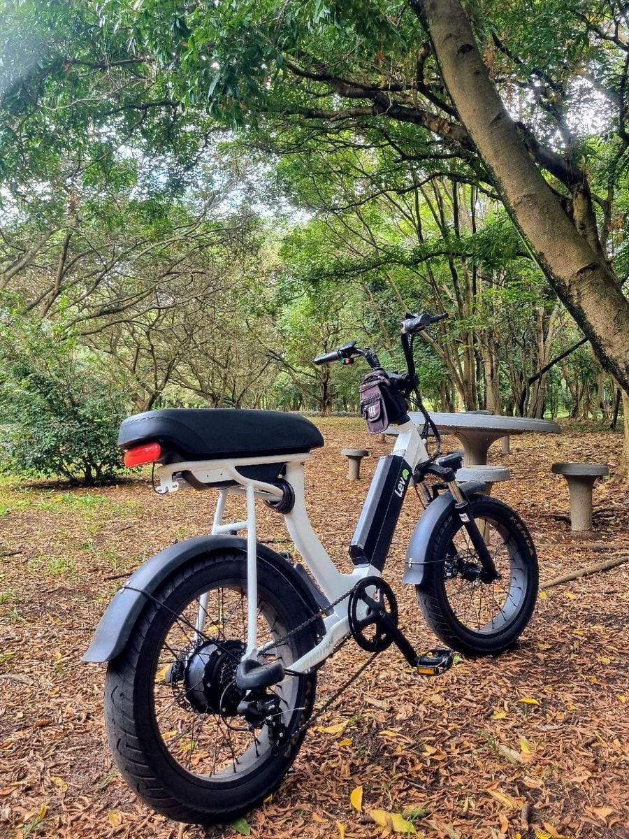 Lev Cruiser Bike Elétrica | Item p/ Esporte e Outdoor Lev Usado ...