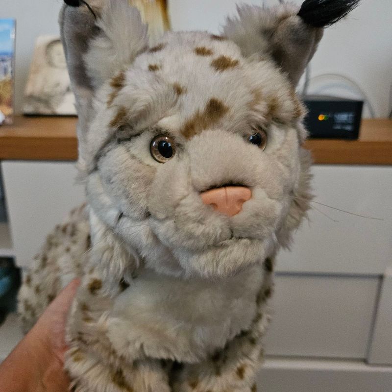 Linda Pelúcia Lince Brinquedo Lince Usado 107014327 enjoei