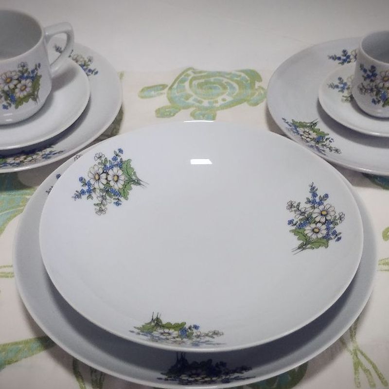 Aparelho De Cha E Cafe Porcelana Schmidt 1960