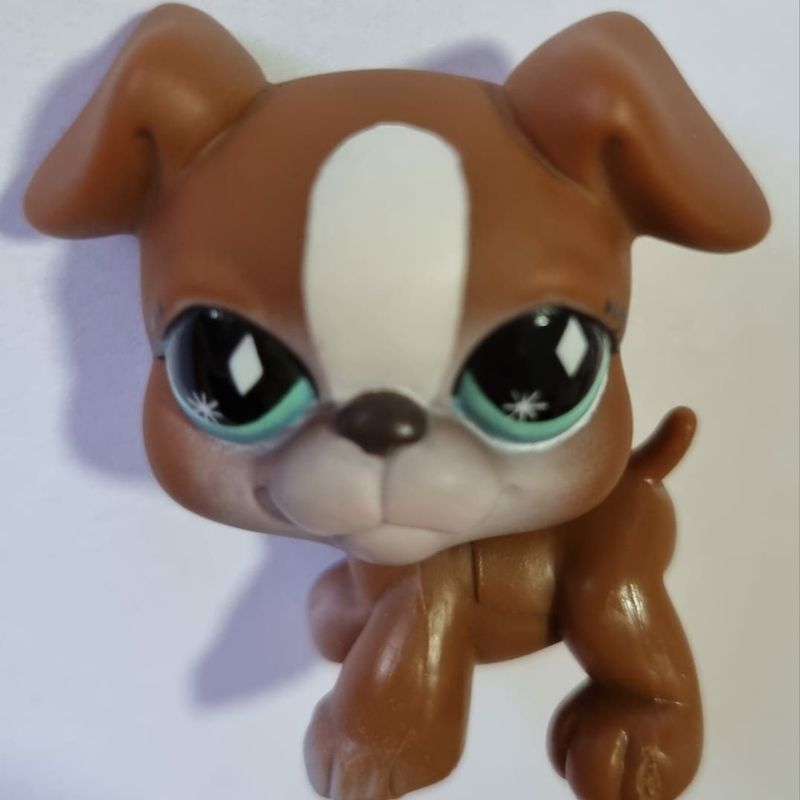 Dog littlest pet shop new arrivals