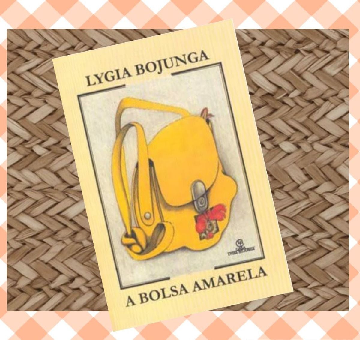 Questões Sobre O Livro A Bolsa Amarela Com Gabarito