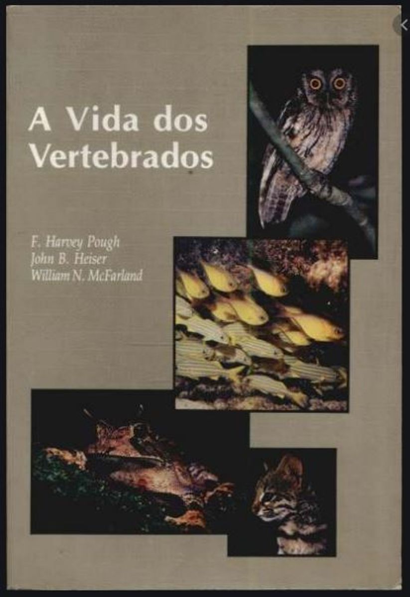 Livro: A Vida Dos Vertebrados | Livro Atheneu Editora Usado 48853045 ...