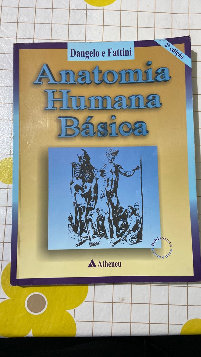 Livro Anatomia Humana Básica | Livro Atheneu Usado 85771510 | Enjoei