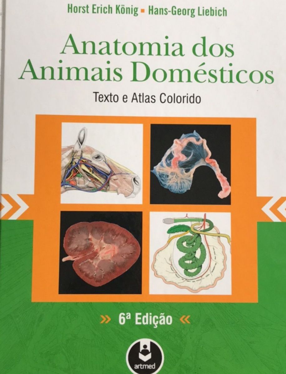 Livro Anatomia Veterinária | Livro Artmed Usado 75450155 | Enjoei