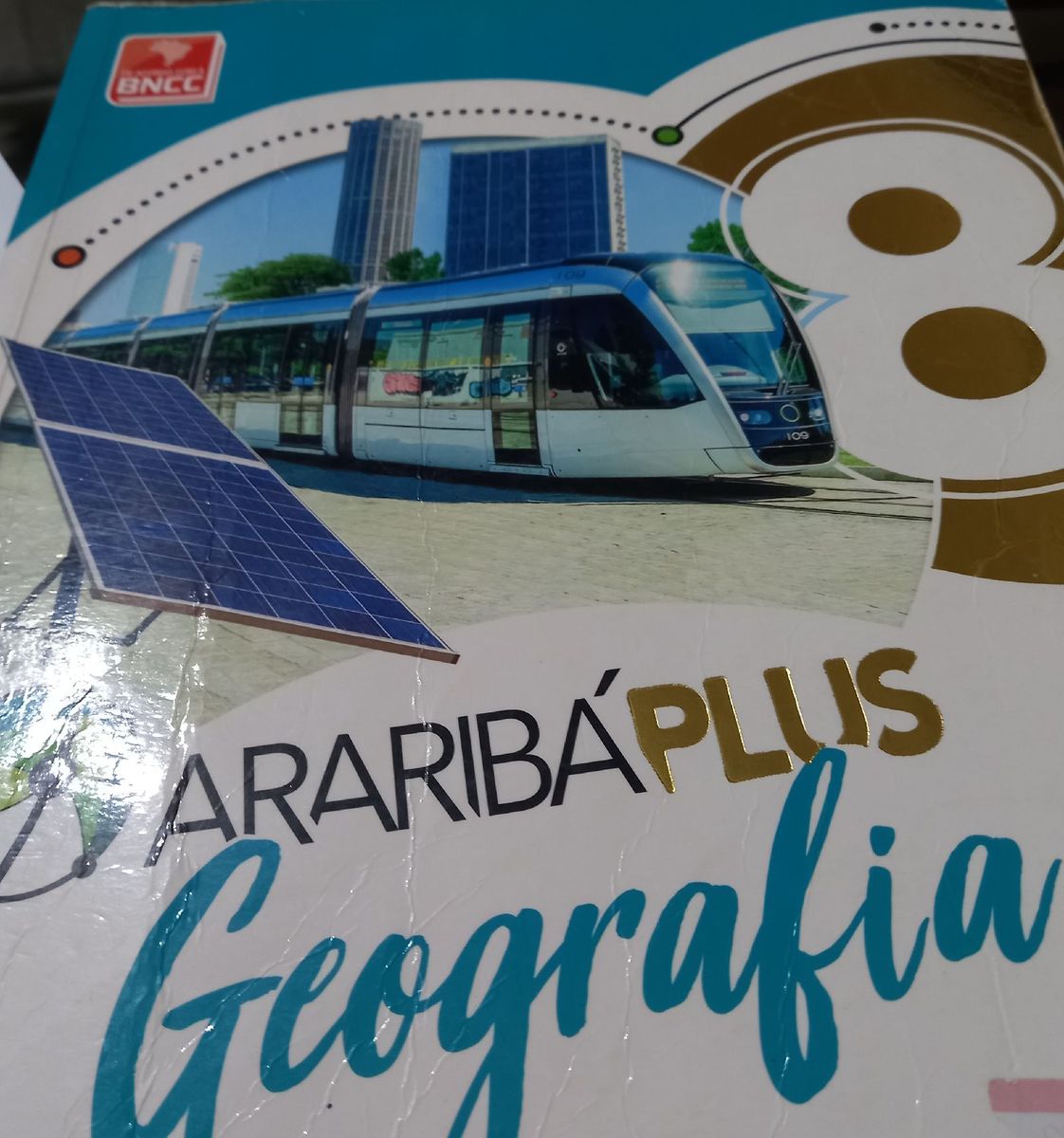 Livro Arariba Plus Geografia 8 Ano