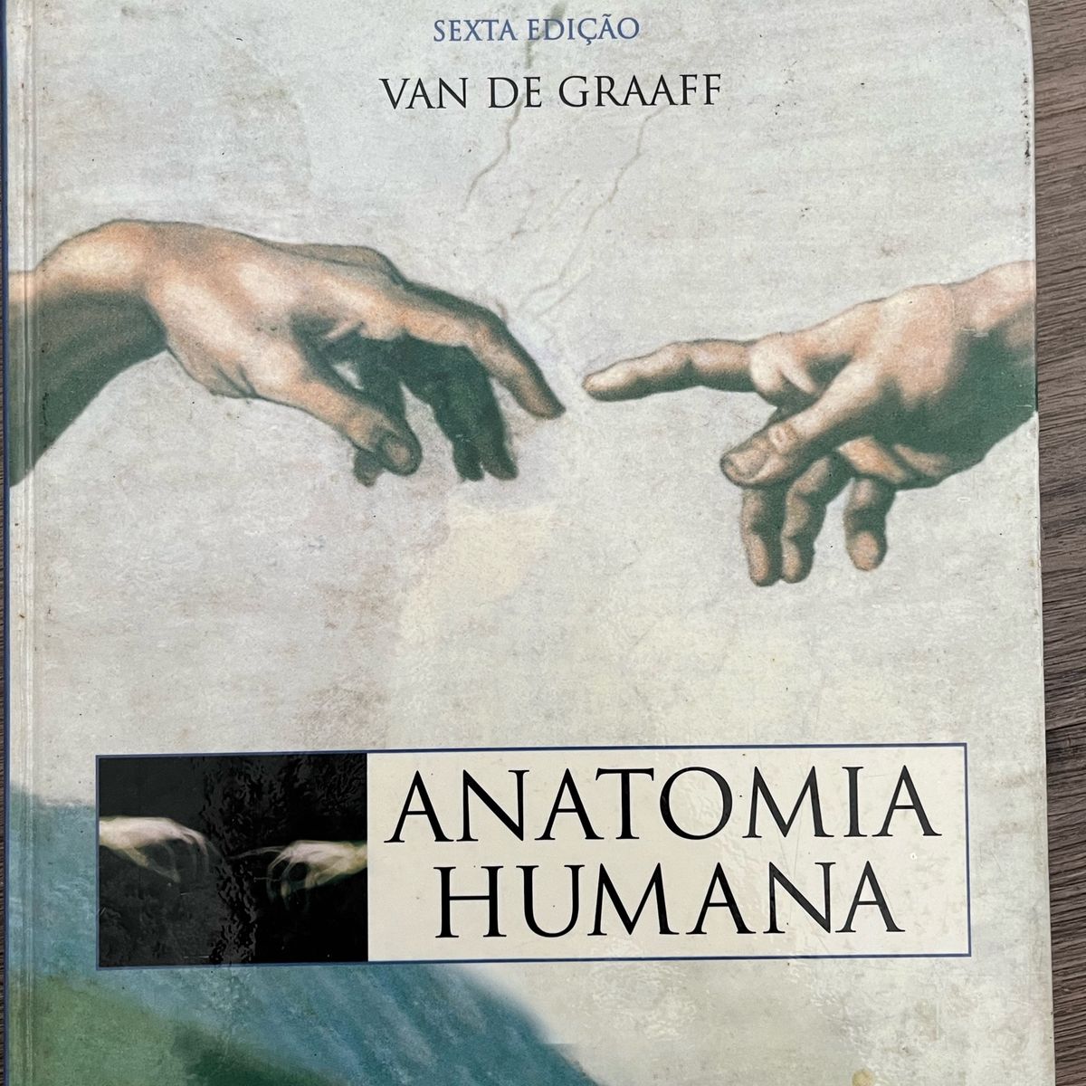 Livro De Anatomia Livro Manole Usado 78549301 Enjoei   CzM6Ly9waG90b3MuZW5qb2VpLmNvbS5ici9wcm9kdWN0cy8yOTE4MzAzNS9hYzc4OWUyNzc3YWFlMzhiZWM1NjljY2NhOGY0Njc4NC5qcGc