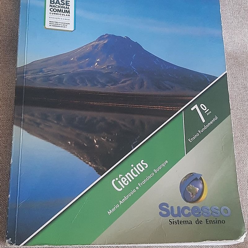 Kit de Livros do 5º Ano - Sucesso Sistema de Ensino - de Acordo com a Bncc  | Livro Sucesso Sistema De Ensino Usado 51238365 | enjoei