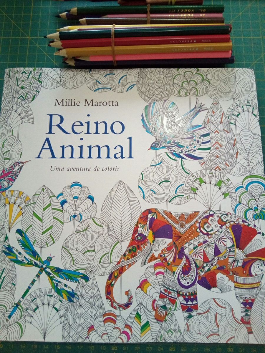 Livro de Colorir Reino Animal + Lápis de Cor | Livro Sextante Usado ...