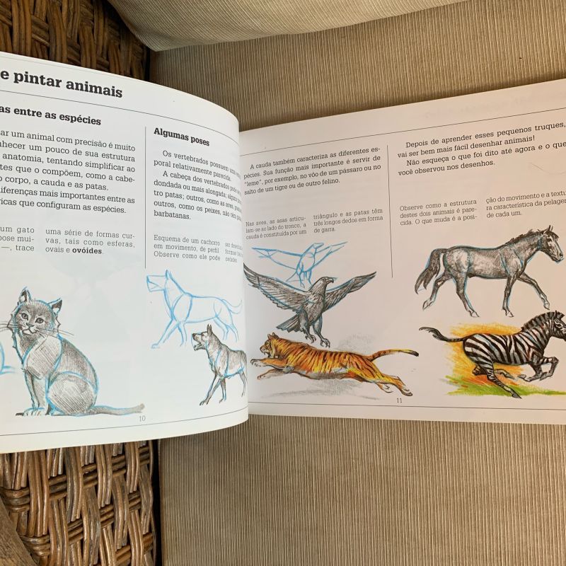 Como Desenhar Animais: Cavalos, Anatomia e Poses