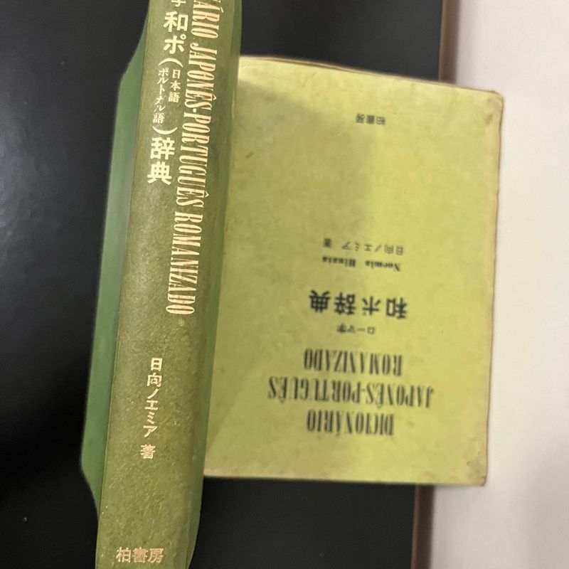 Livro Dicionário Japonês-Português Romanizado - Noemia Hinata