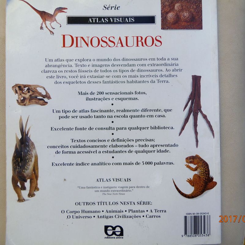 Qual é a abrangência do termo dinossauro? Quantos tipos havia à