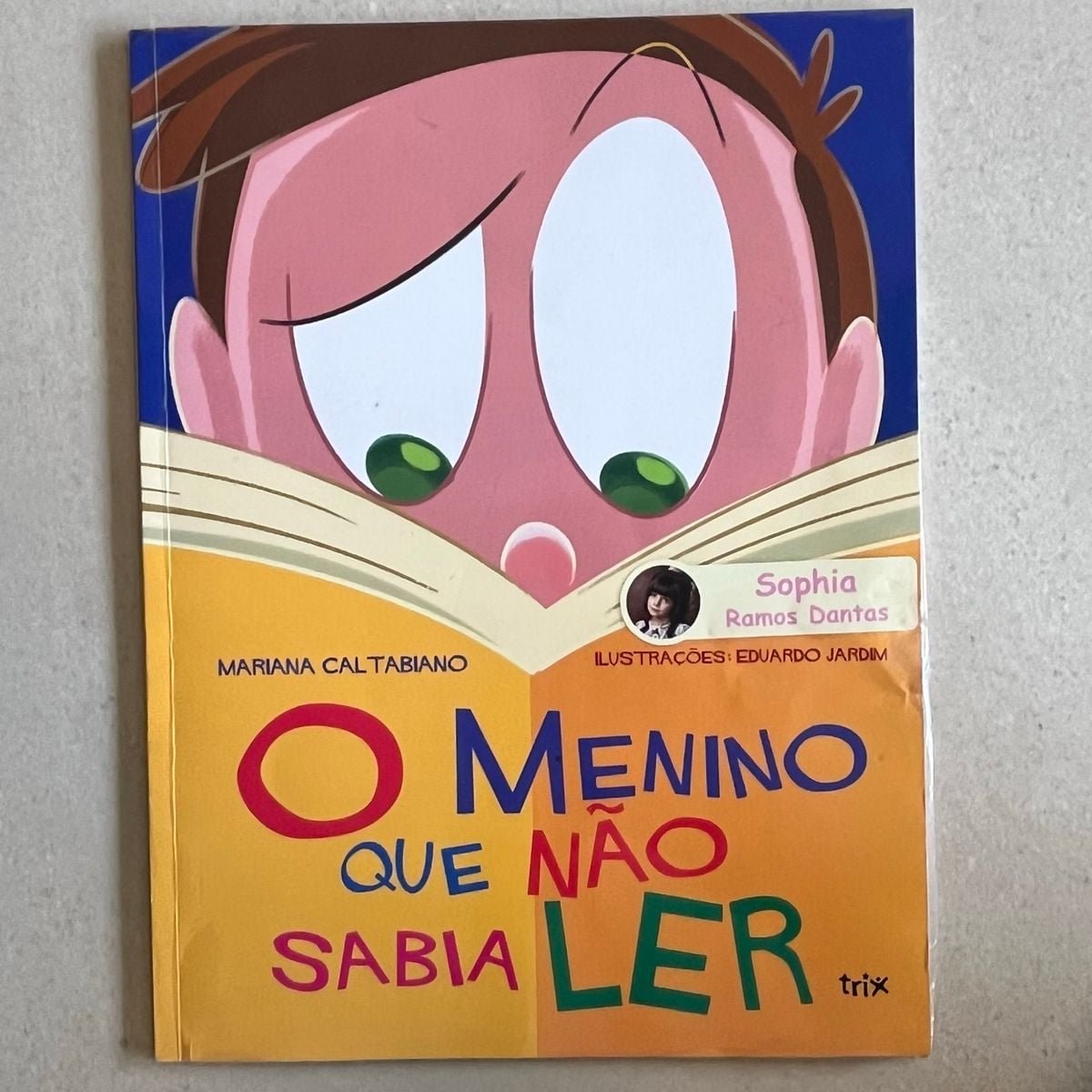 Livro Educativo O Menino Que Não Sabia Ler | Item Infantil Usado ...