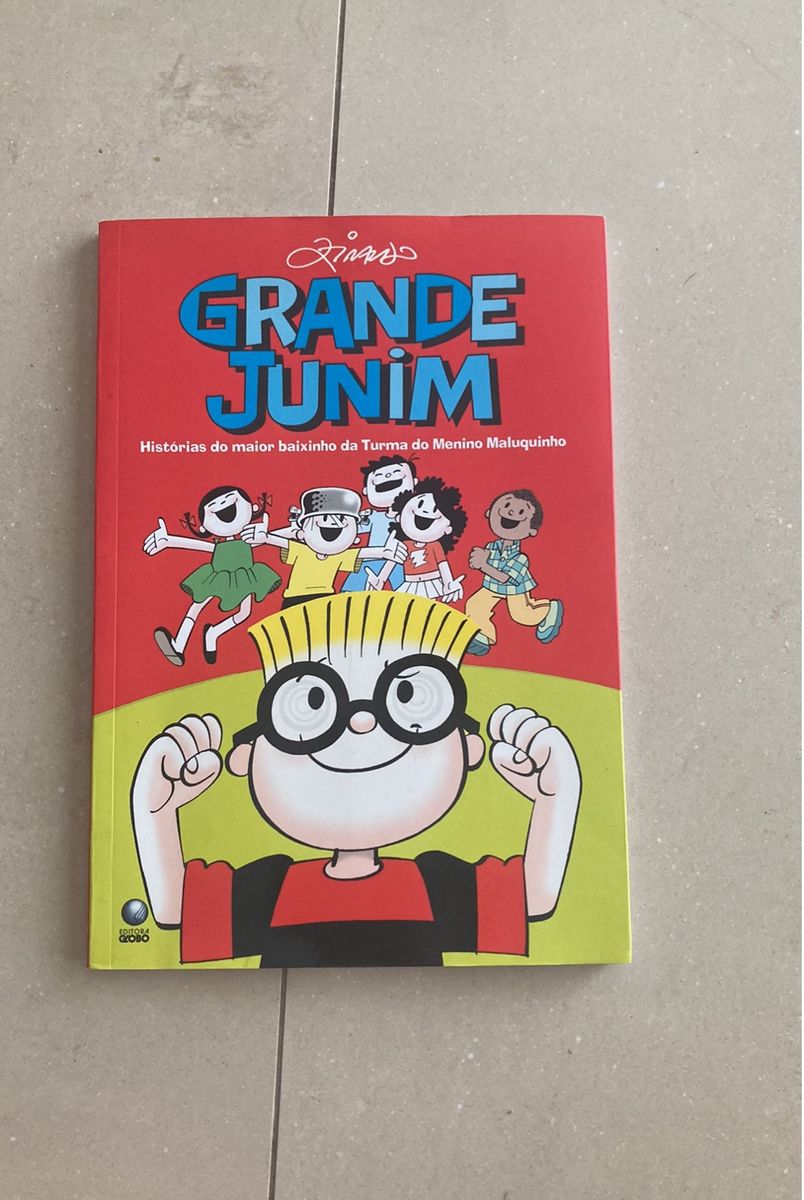 Livro em Quadrinhos Grande Junim - História do Maior Baixinho da Turma ...