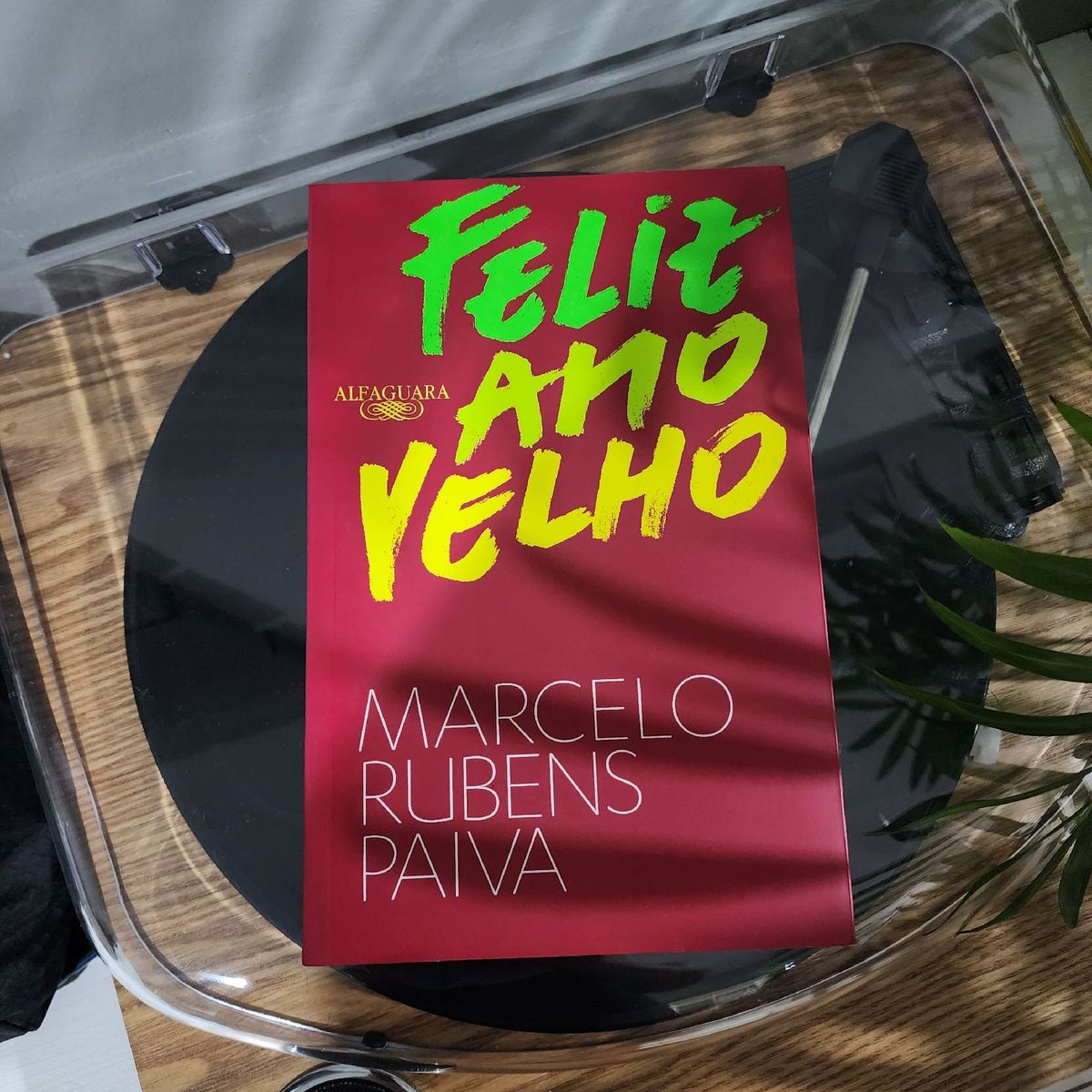 Livro Feliz Ano Velho | Livro Marcelo Rubens Paiva Nunca Usado 93327435 ...