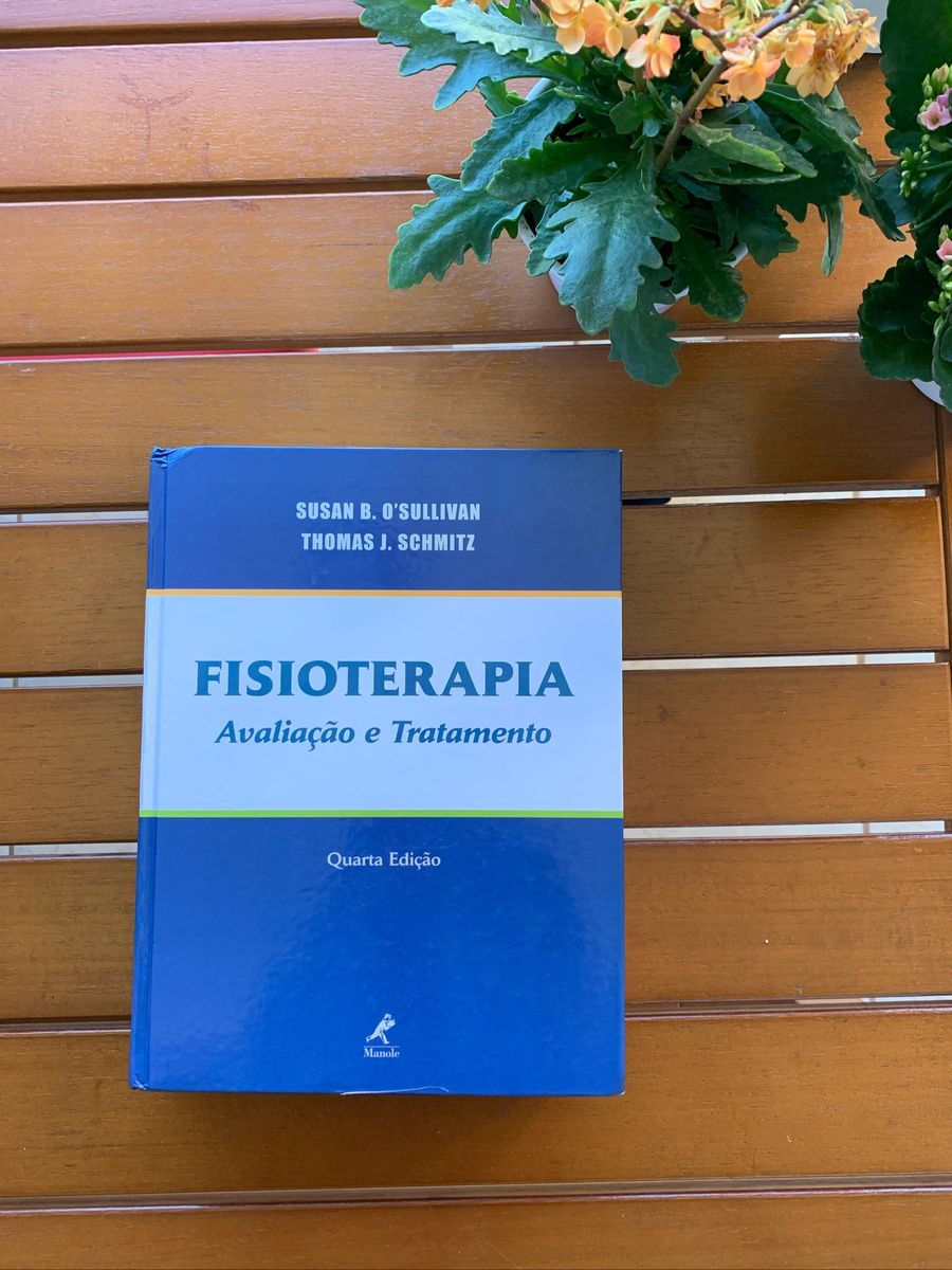 Livro Fisioterapia Avaliação E Tratamento | Livro Editora Manole Usado ...