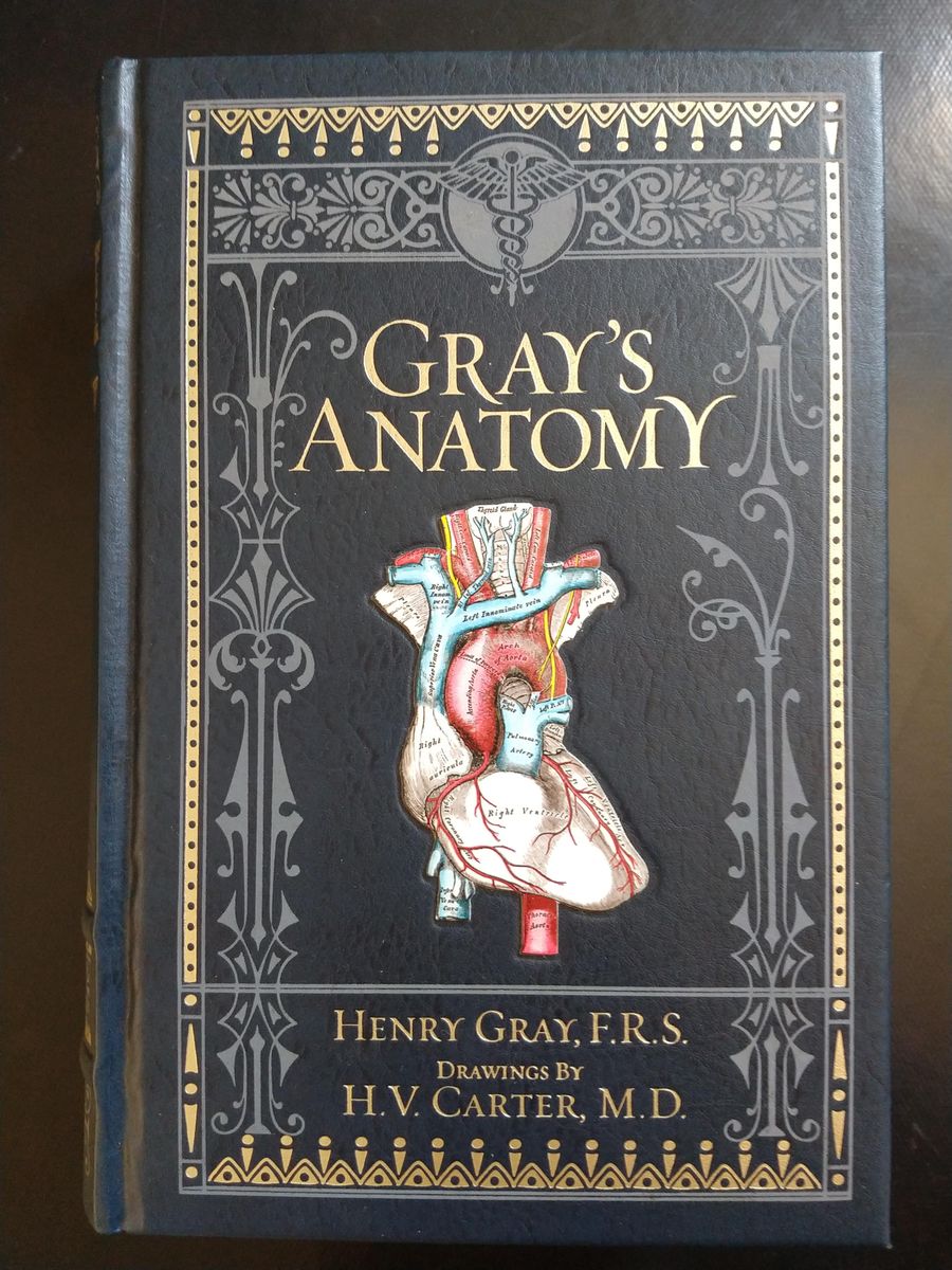 Livro Gray's Anatomy Edição de Colecionador Barnes & Noble Capa Dura em