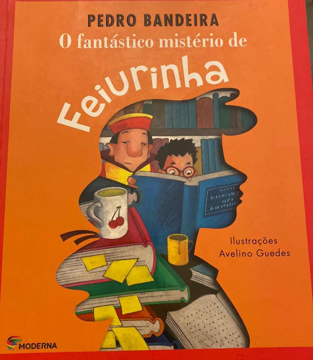 Livro: O Fantástico Mistério de Feiurinha | Livro Moderna Usado ...