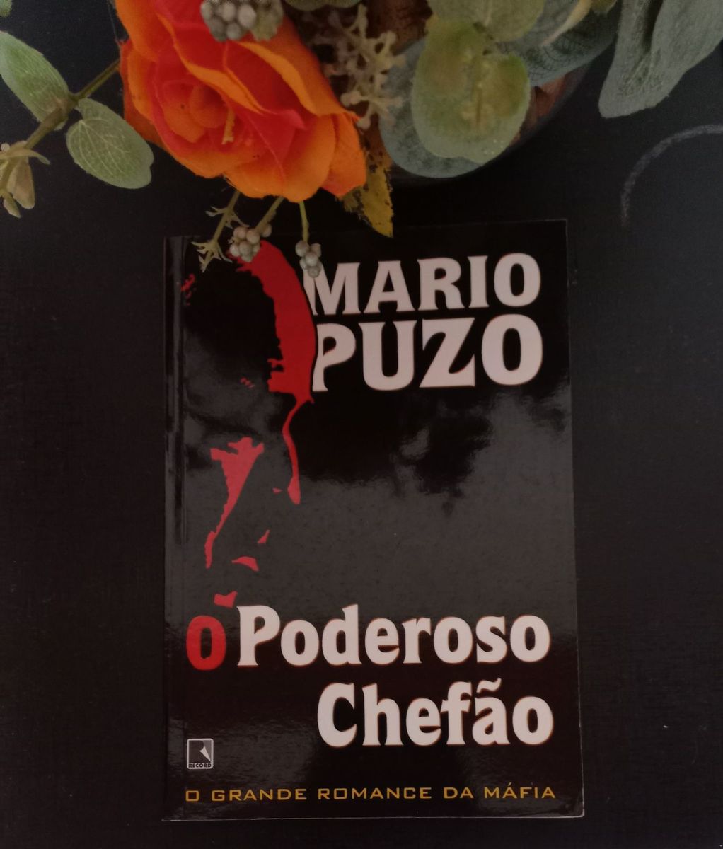 Livro O Poderoso Chefão (mário Puzo) | Livro Editora Record Usado ...