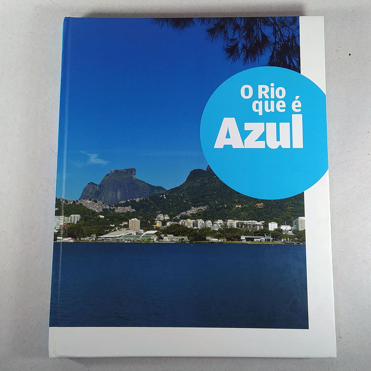 Livro O Rio Que É Azul, Parte da Coleção As Cores do Rio - 2014 | Livro ...