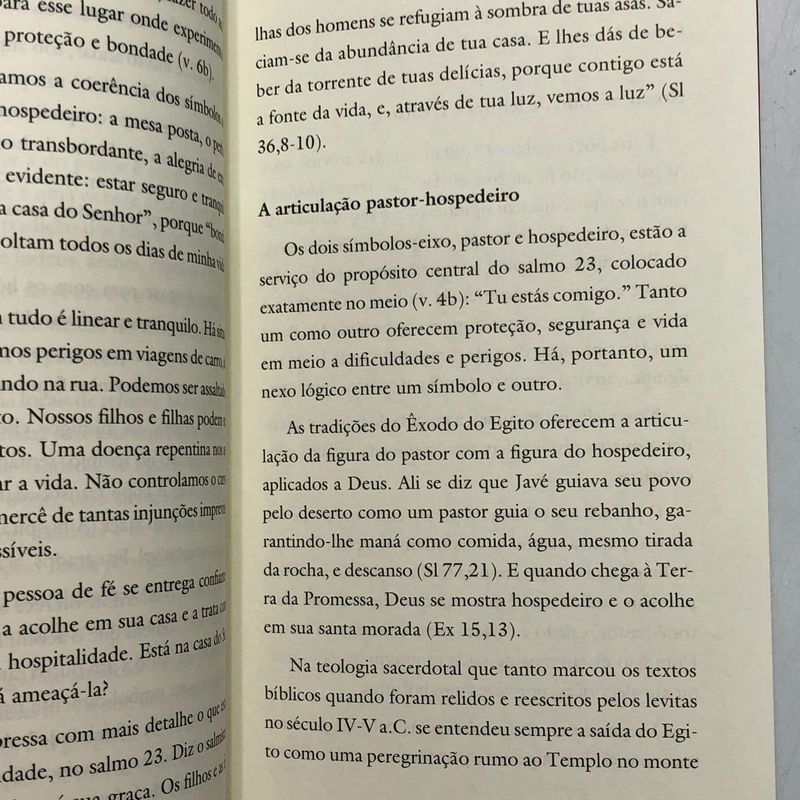 Livro: O Senhor é Meu Pastor - Leonardo Boff