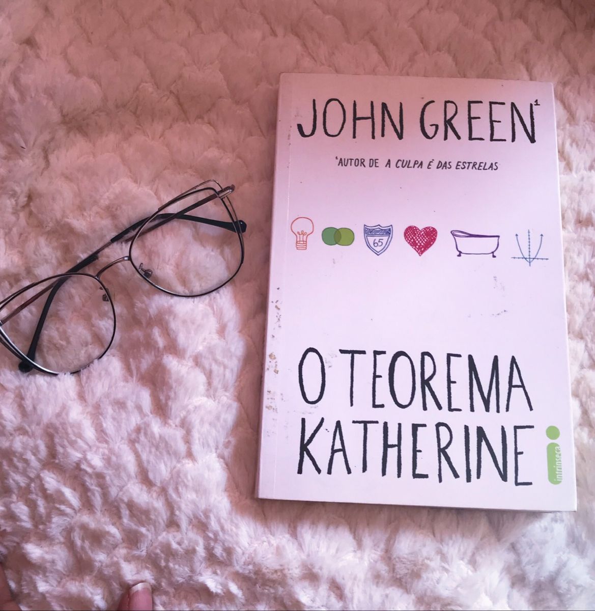 Livro O Teorema De Katherine Produto Feminino Editora Intrínseca Usado 56438950 Enjoei 5127