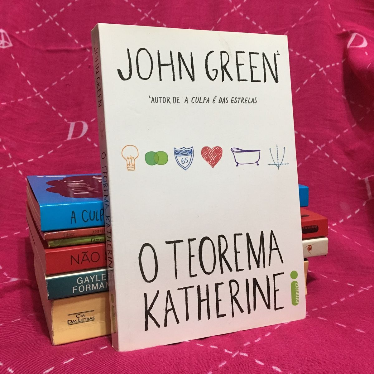 Livro O Teorema Katherine Livro Intrinseca Usado 33365491 Enjoei 9189