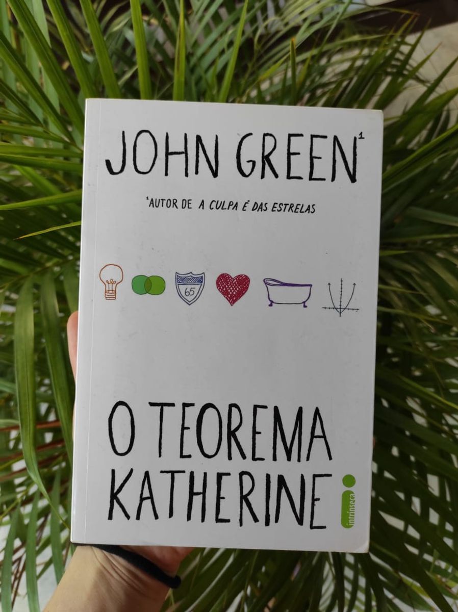 Livro O Teorema Katherine Livro Intrinseca Usado 64864199 Enjoei 1506