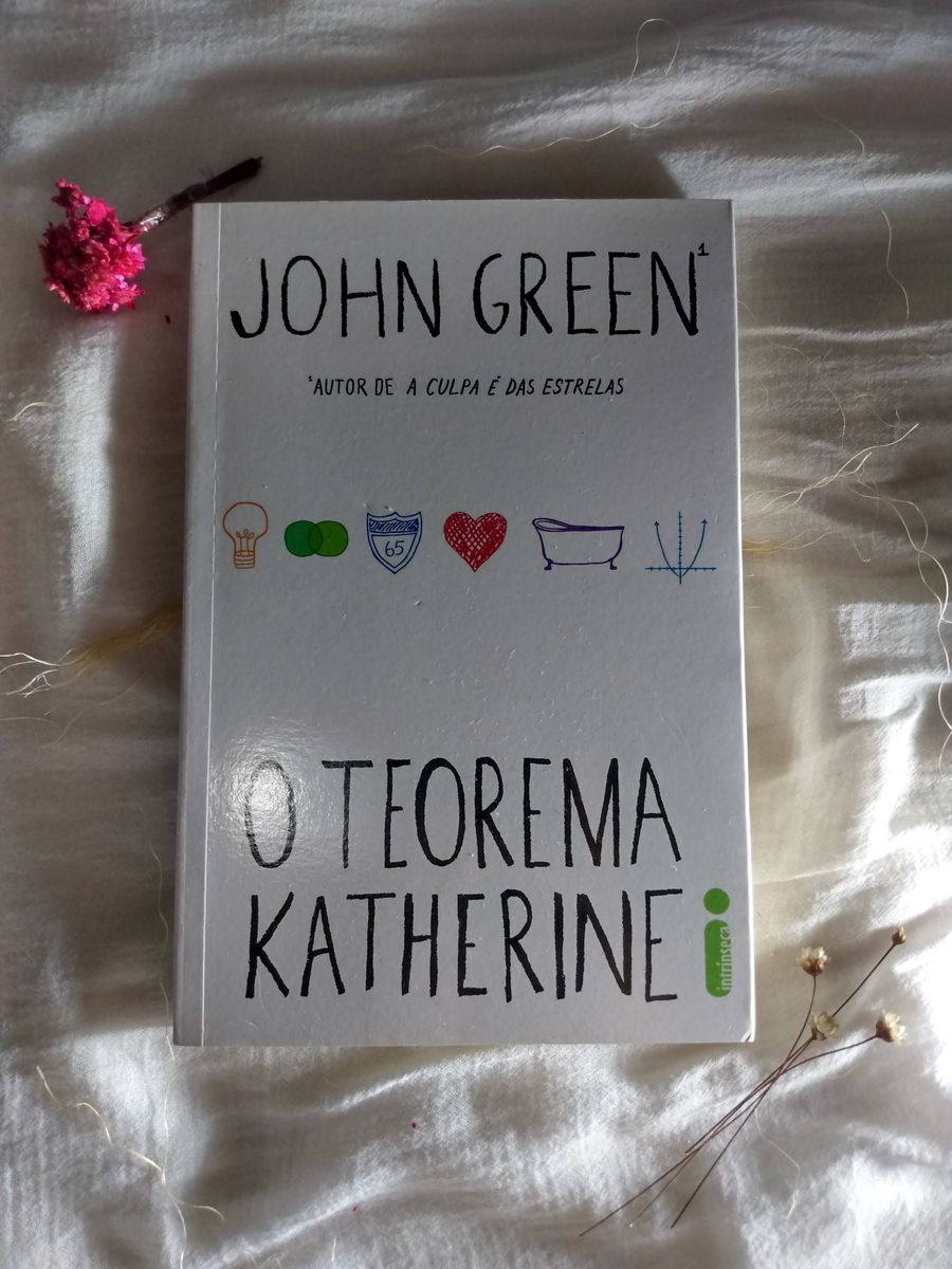 Livro O Teorema Katherine Livro Intrinseca Usado 55358582 Enjoei 3933