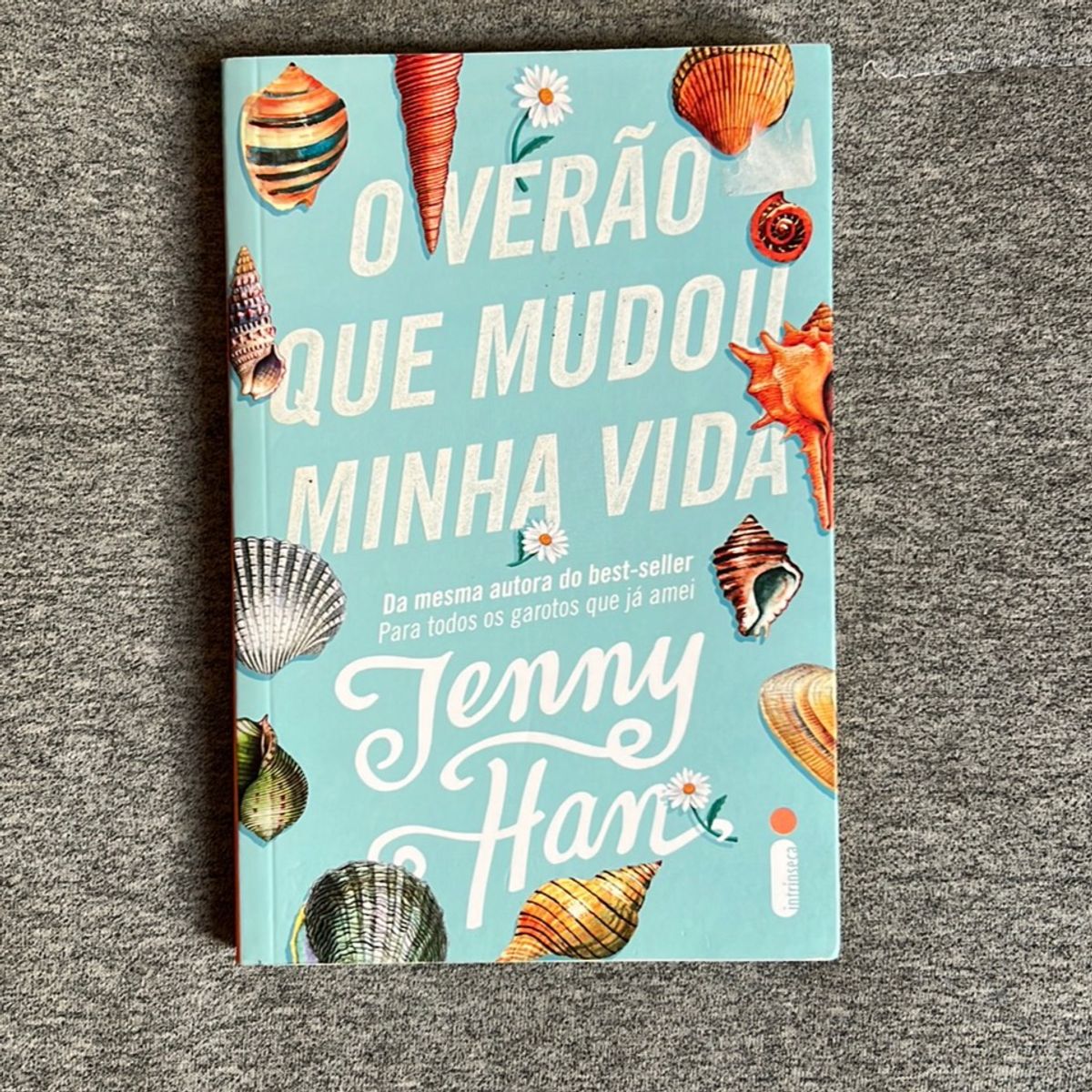 Livro O Verão Que Mudou Minha Vida - Jenny Han | Livro Intristeca Usado ...