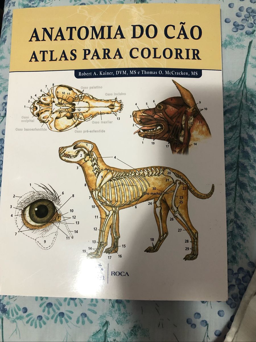 Livro Para Colorir Anatomia Do Cão Livro Roca Nunca Usado 55350939 Enjoei 1722