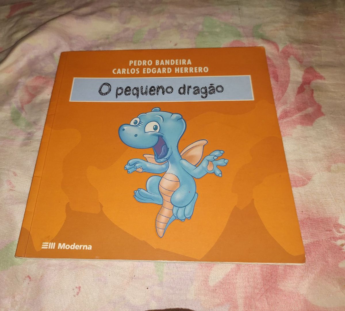 Livro Pedro Bandeira O Pequeno Dragão | Livro Usado 68049081 | enjoei