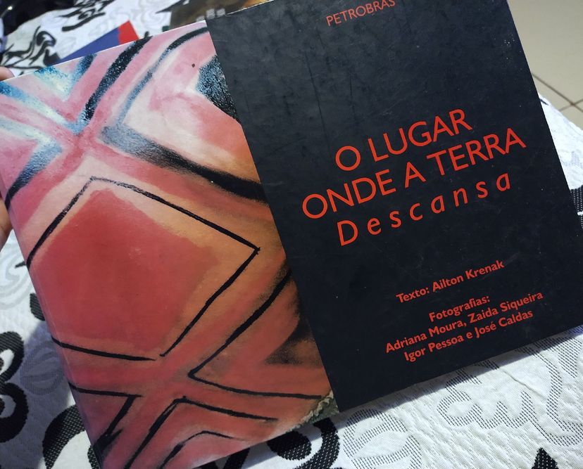 Livro Plugar Onde a Terra Descansa | Livro Usado 47531963 | enjoei