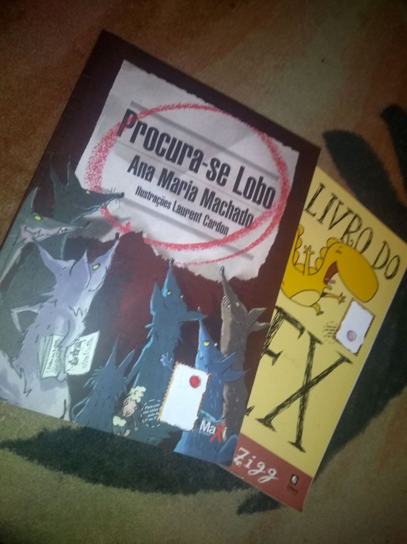 Livro Procura-se Lobo e O Livro do Rex | Livro Maxi Usado 138084802 ...
