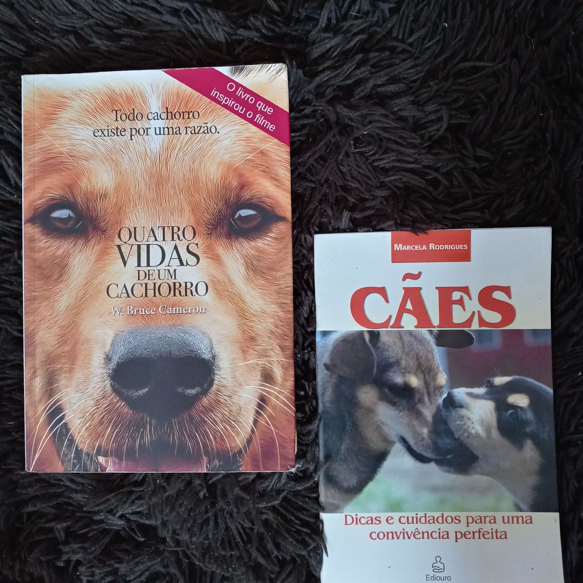 Resumo Do Livro Quatro Vidas De Um Cachorro