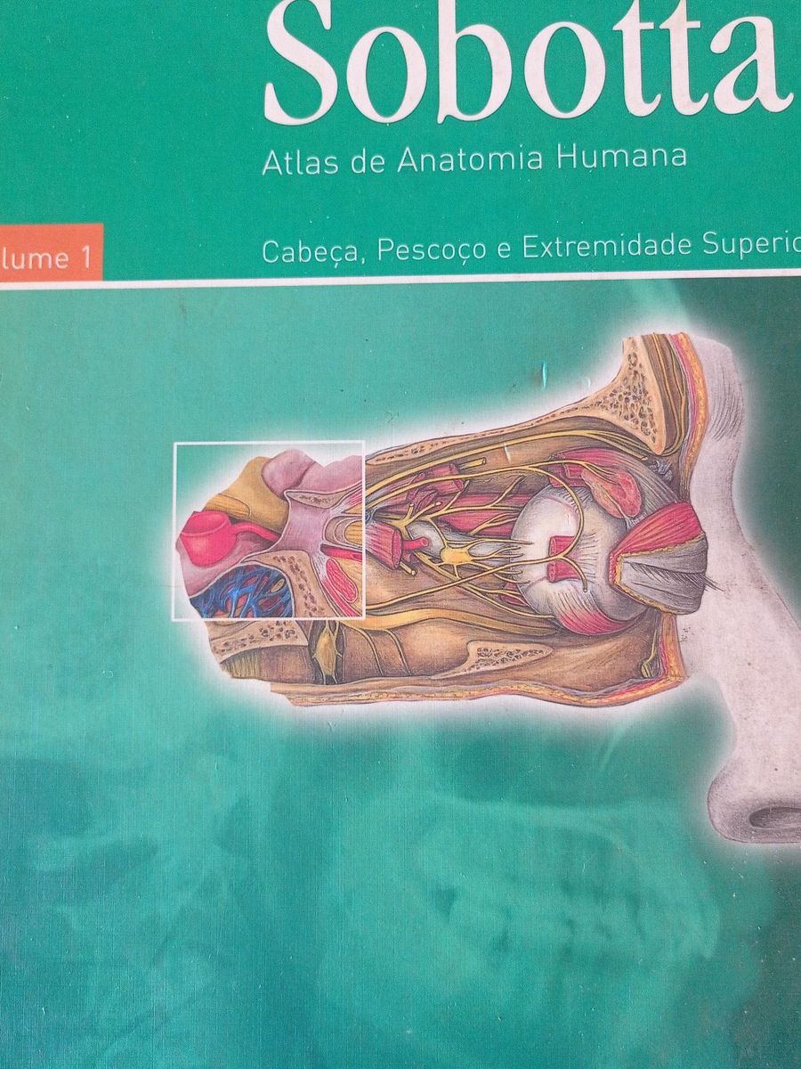 Livro Sobotta, Volume 1, Atlas Da Anatomia Humana, Cabeça, Pescoço E ...