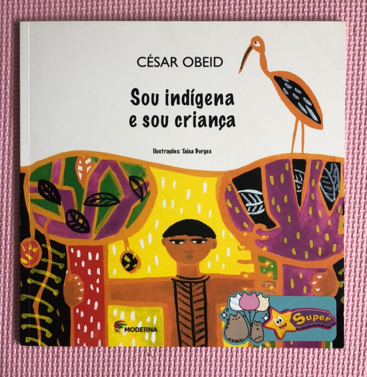 Livro Sou Indígena e Sou Criança (cezar Obeid) | Item Infantil Moderna ...