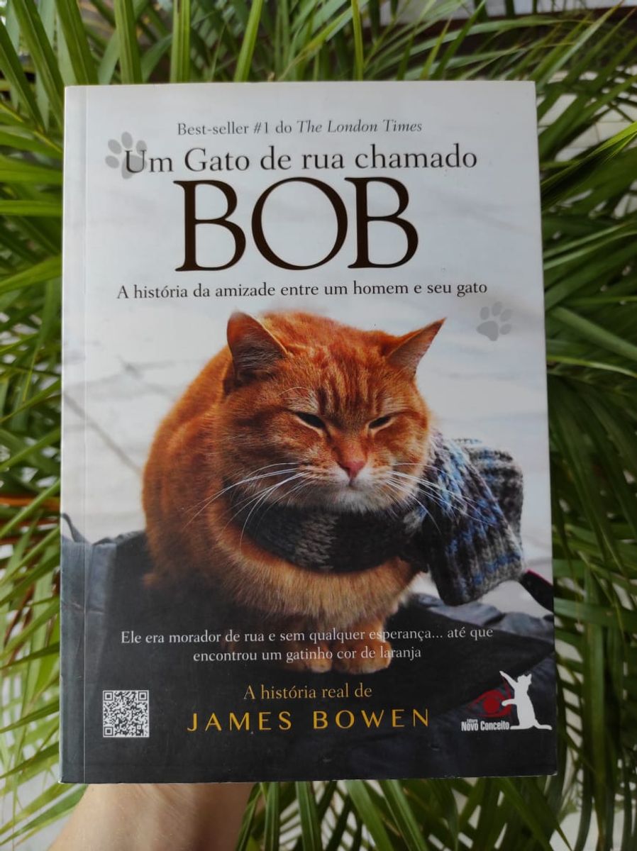Livro Um Gato de Rua Chamado Bob | Livro Editora Novo Conceito Usado ...
