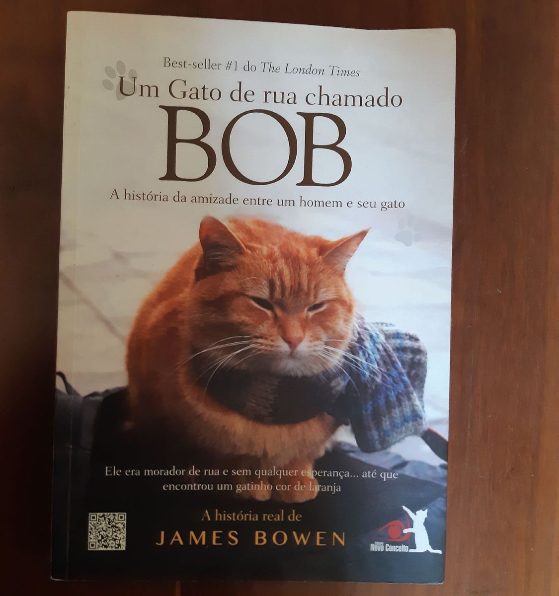 Livro Um Gato de Rua Chamado Bob | Livro Saraiva Usado 65247240 | enjoei