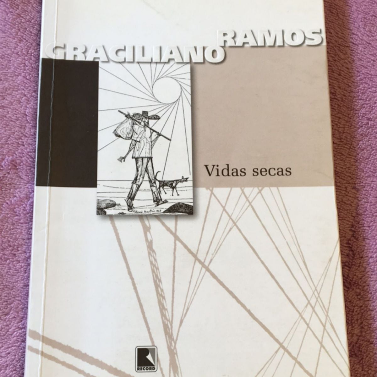 Livro Vidas Secas Resumo Por Capitulo