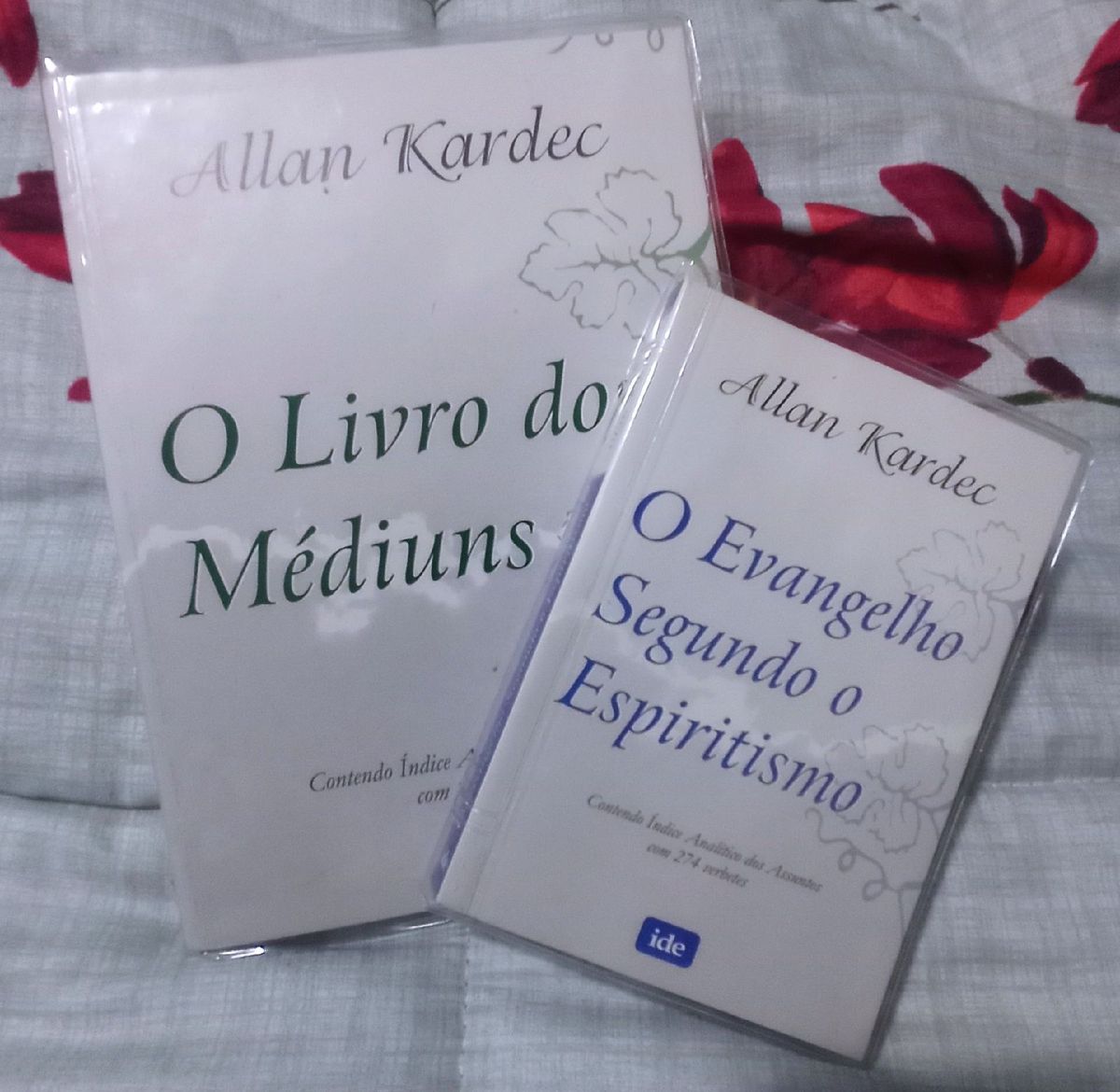 Livros Allan Kardec | Livro Ide Usado 60894211 | Enjoei