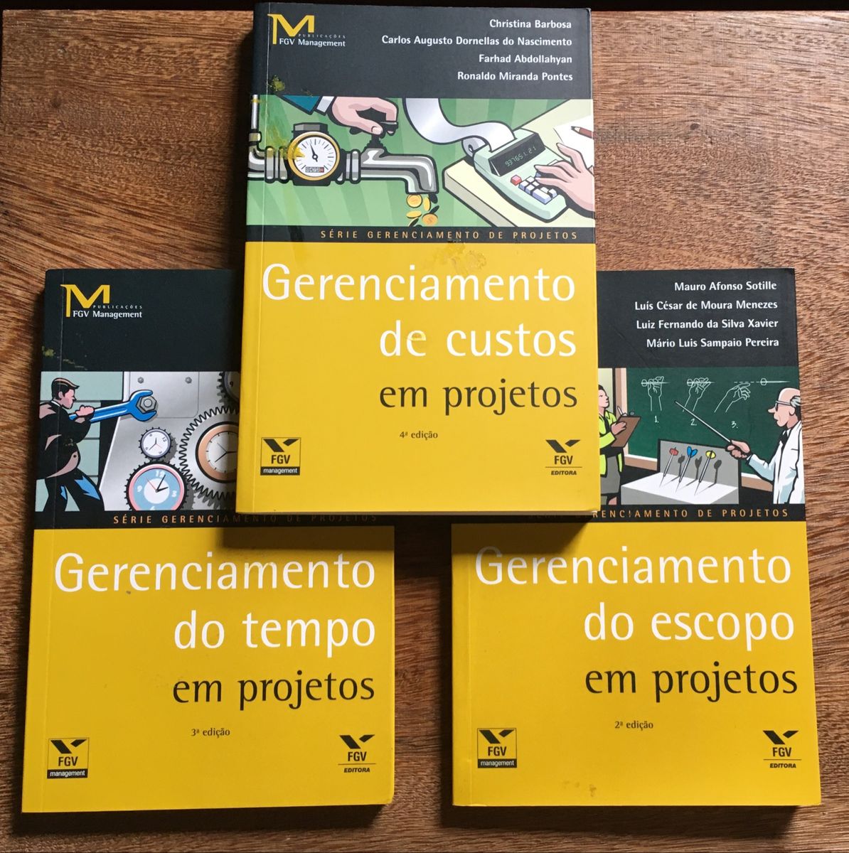 Livros da Série Gerenciamento de Projetos da Fgv | Livro Editora Fgv ...
