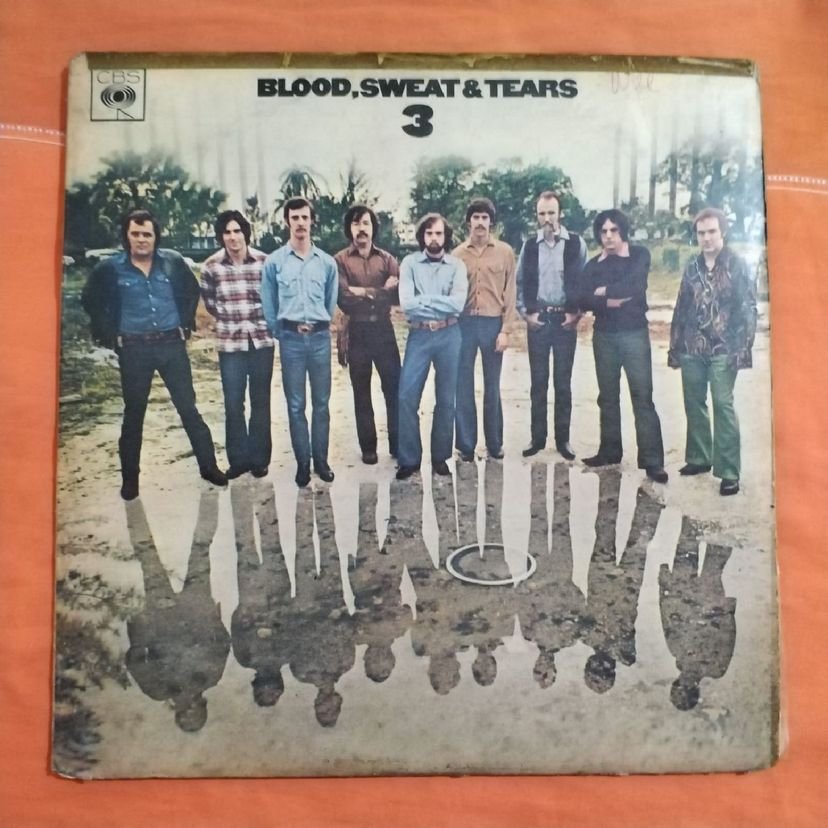 blood sweat and tears vinyl