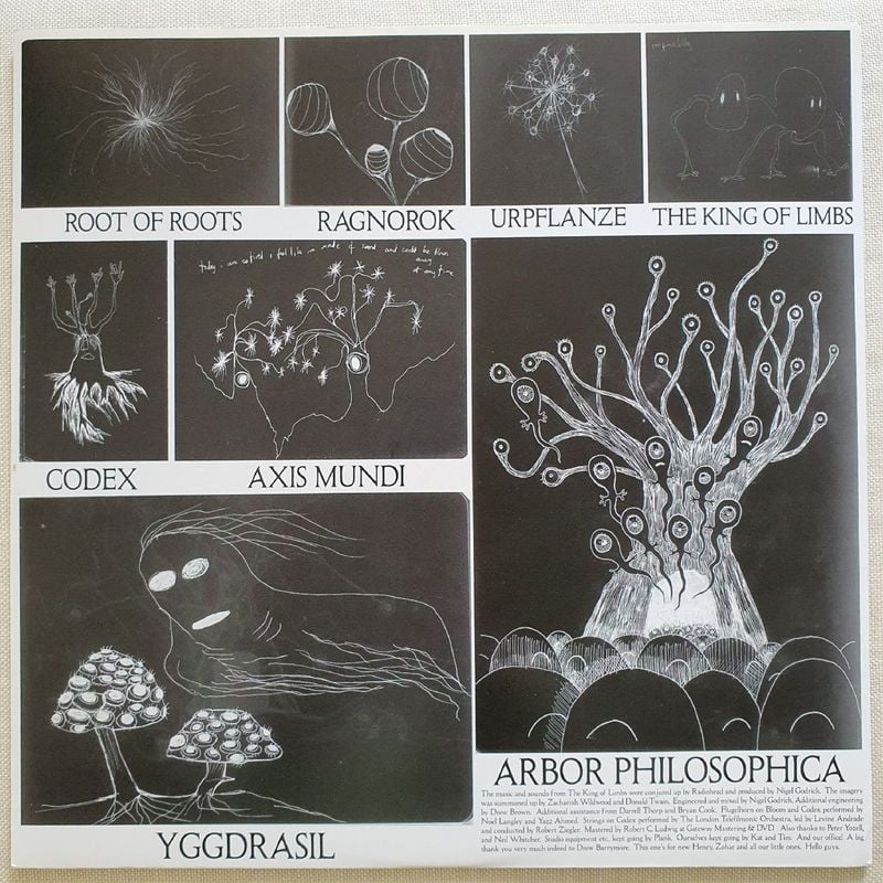 激レア RADIOHEAD THE KING OF LIMBS クリアLP Lp Vinil Importado Radiohead The King Of Limbs | Usado 70947002