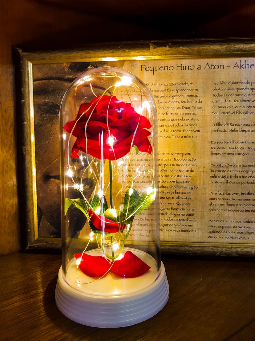 Luminária Cúpula a Bela e a Fera a Rosa Encantada Presente para Namorada  Base Perola | Móvel p/ Iluminação Amor Lindo Nunca Usado 71438145 | enjoei