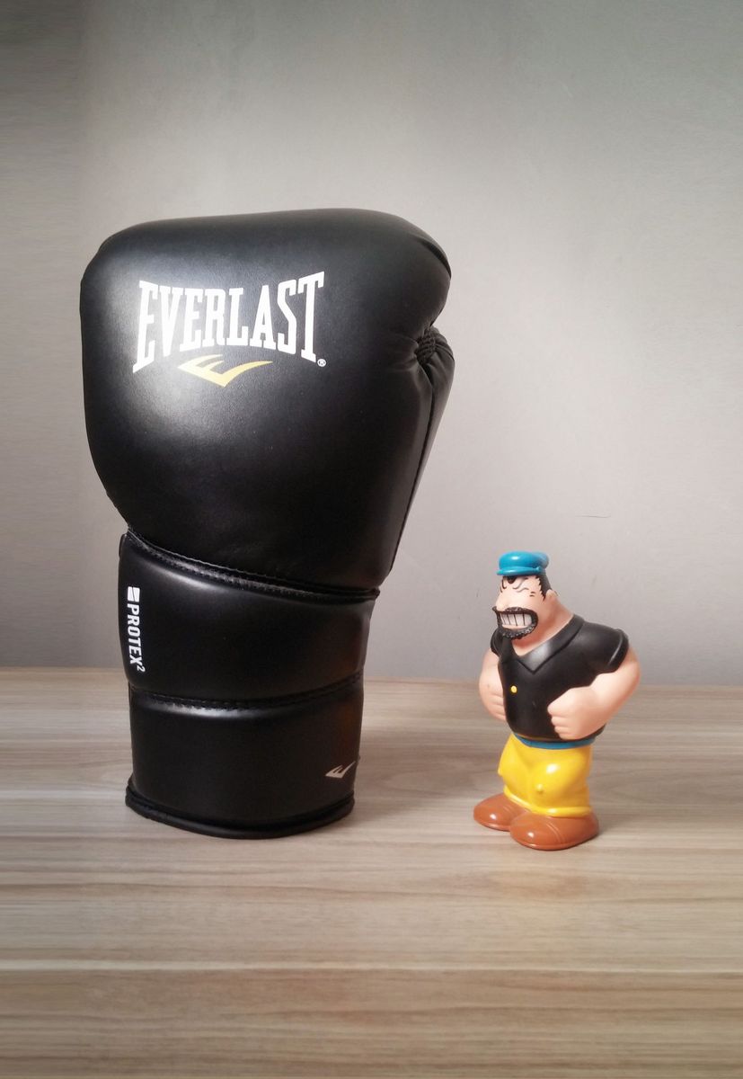 luva everlast 16oz