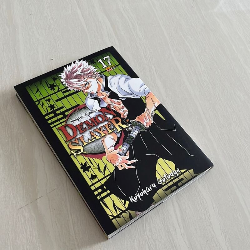 Demon Slayer: Kimetsu No Yaiba, Vol. 17: Volume 17